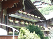 20090818-Auslug Wallis72